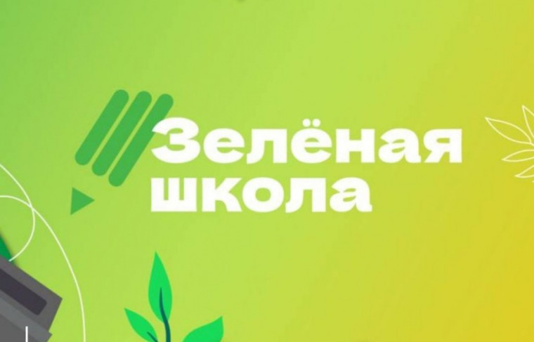 Чем Зелёная школа отличается от обычной?.